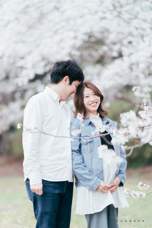 桜-カップル写真-出張撮影