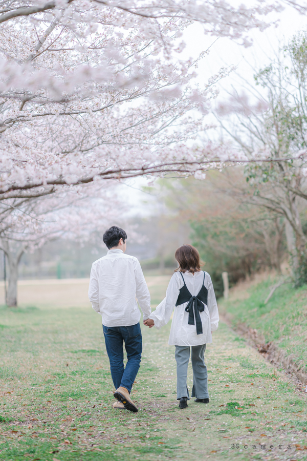 出張撮影36カメラ-田川市成道寺公園の桜